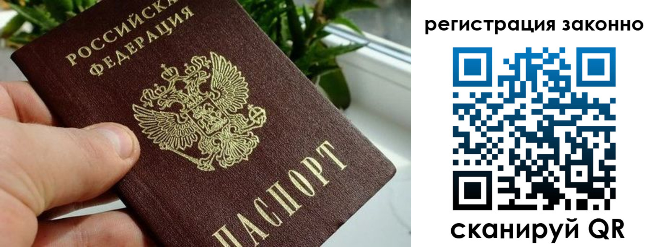 прописка гарантия в Екатеринбурге